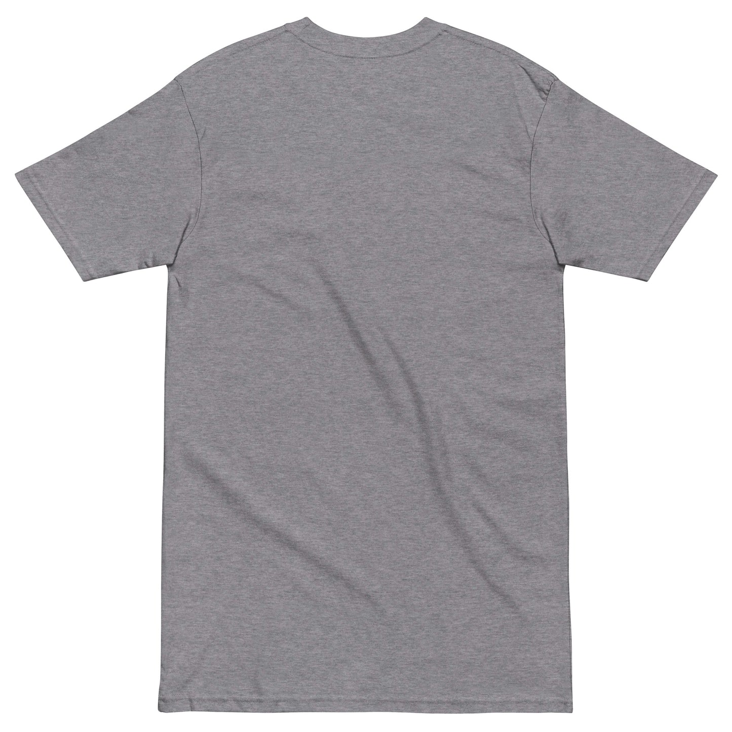 NASA LIES Men’s premium heavyweight tee